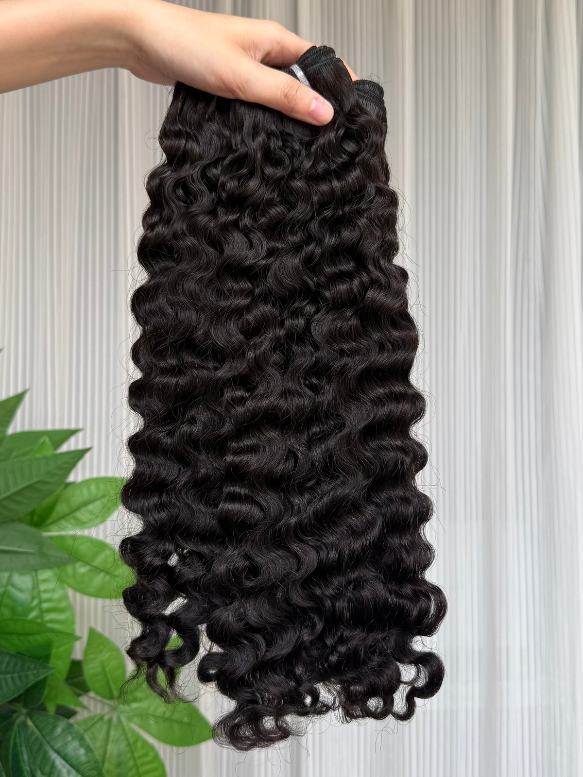 Burmese Curly Bundle One Donor Single Bundle Only Pick Young Girl Hair Unprocessed Hair